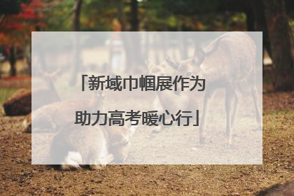 新域巾帼展作为 助力高考暖心行